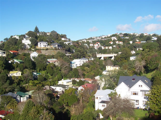 Les collines de wellington en nouvelle zelande