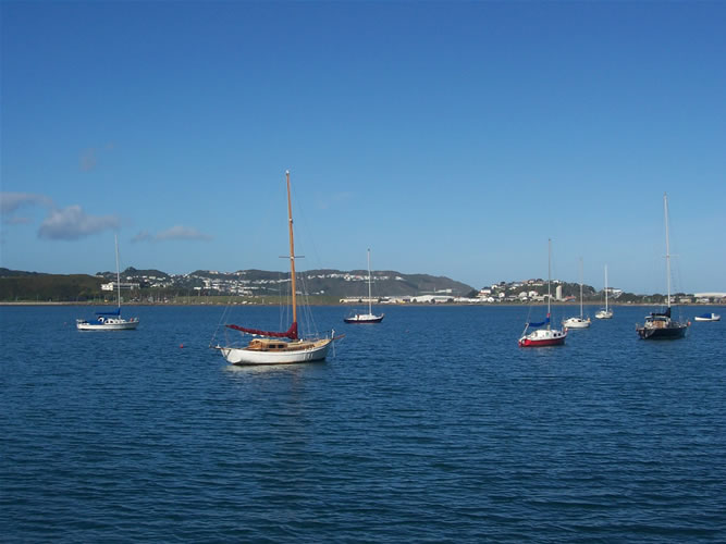 Photo des bateaux dans la baie de wellington