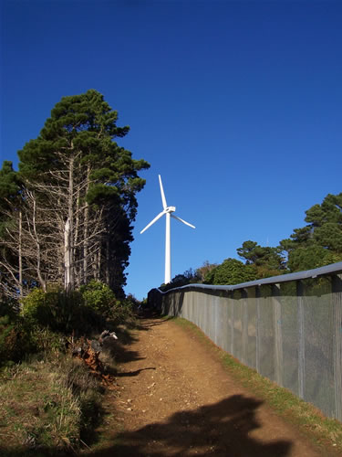 Photo de l'eolienne de wellington