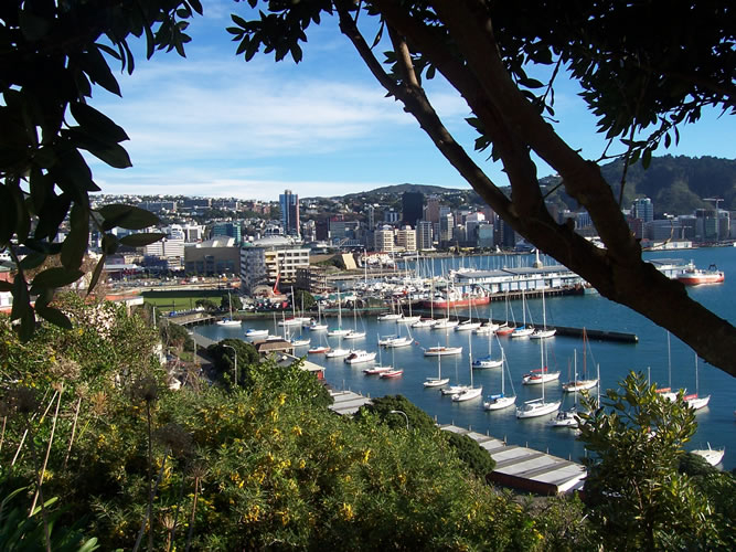 Photo du port de wellington