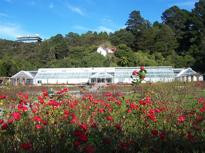 Photo de la roserai du Botanic Garden à Wellington